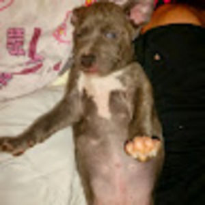 Meet your Posher, Lucas